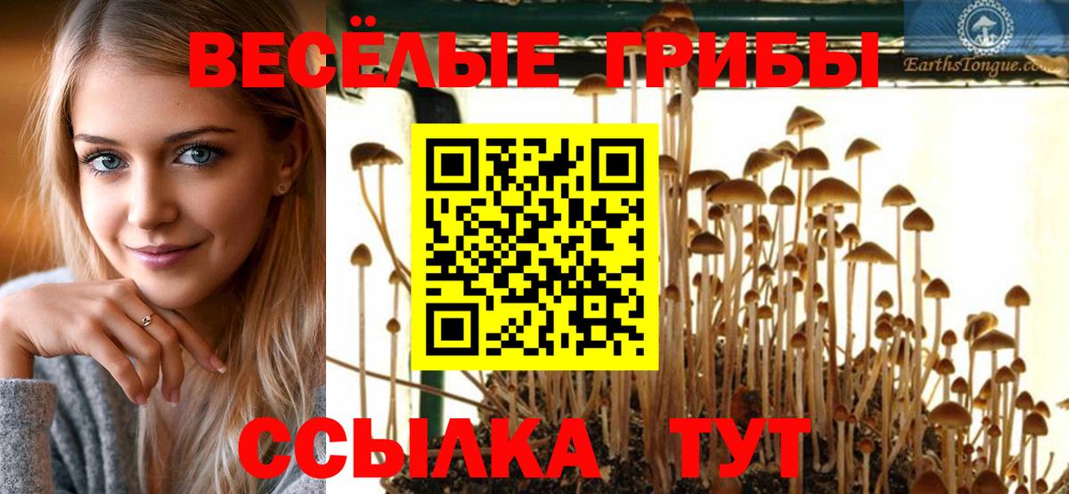 Галлюциногенные грибы прущие грибы Звенигород