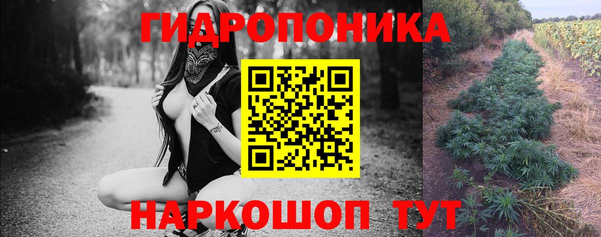 МАРИХУАНА семена  Вход с VPN  Звенигород  Марихуана LSD WEED  МАРИХУАНА ГИДРОПОН  Конопля LSD WEED 
